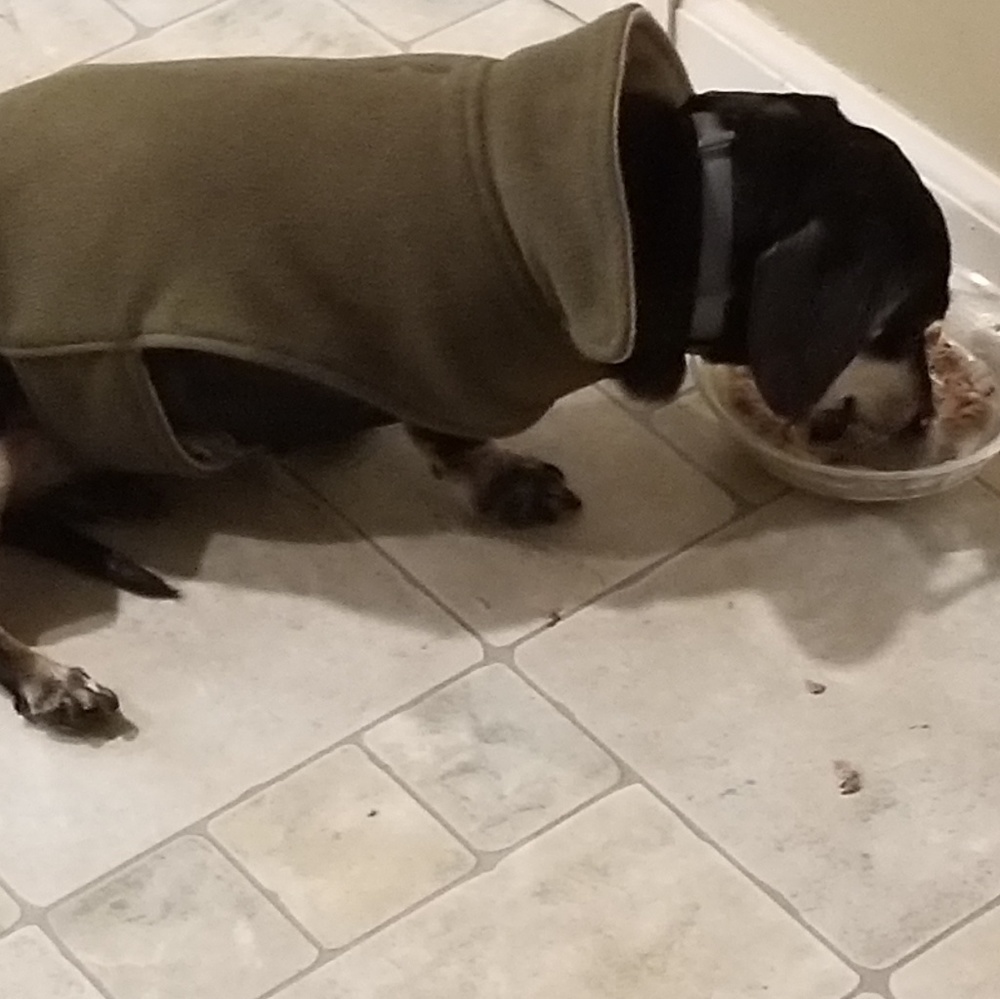Meet your Posher, Darla